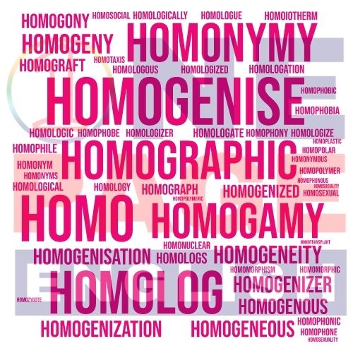 Prefixes Homo