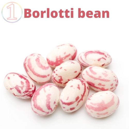 Borlotti bean