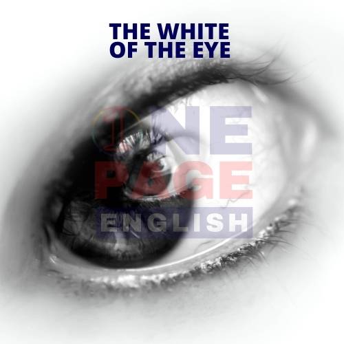 The white of the eye