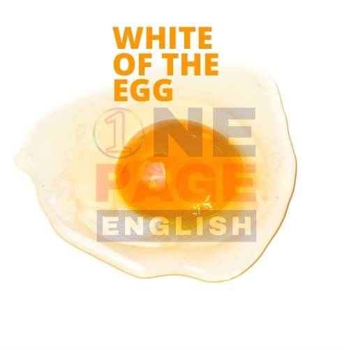 White of the egg